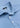2000049596388-2-FS24-Men-PoloShirt-Dantendorfer-Dantendorfer_ecf23d04-f95d-4f45-a35a-91cbbc9fa075.jpg