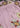 2000049837948-2-HW25-Dantendorfer-LaDoubleJ-LaDoubleJ-13_WOMEN_TROUSERS_099c5e50-bdc5-43f6-b4e6-3771e6e33c99.jpg