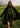 PIALEA_DROP7_EDITORIAL_250088_c1cf9d58-bdf7-4ef4-8f14-69e87614daad.jpg